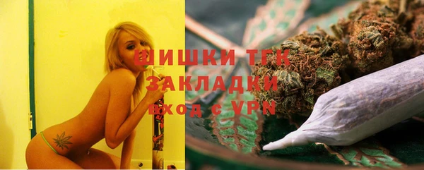 СК Няндома