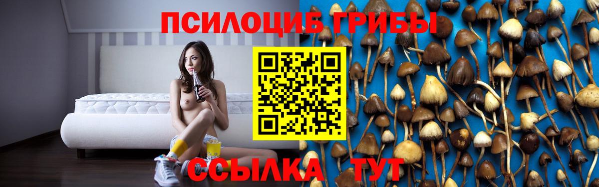 Псилоцибиновые грибы Psilocybe Ступино